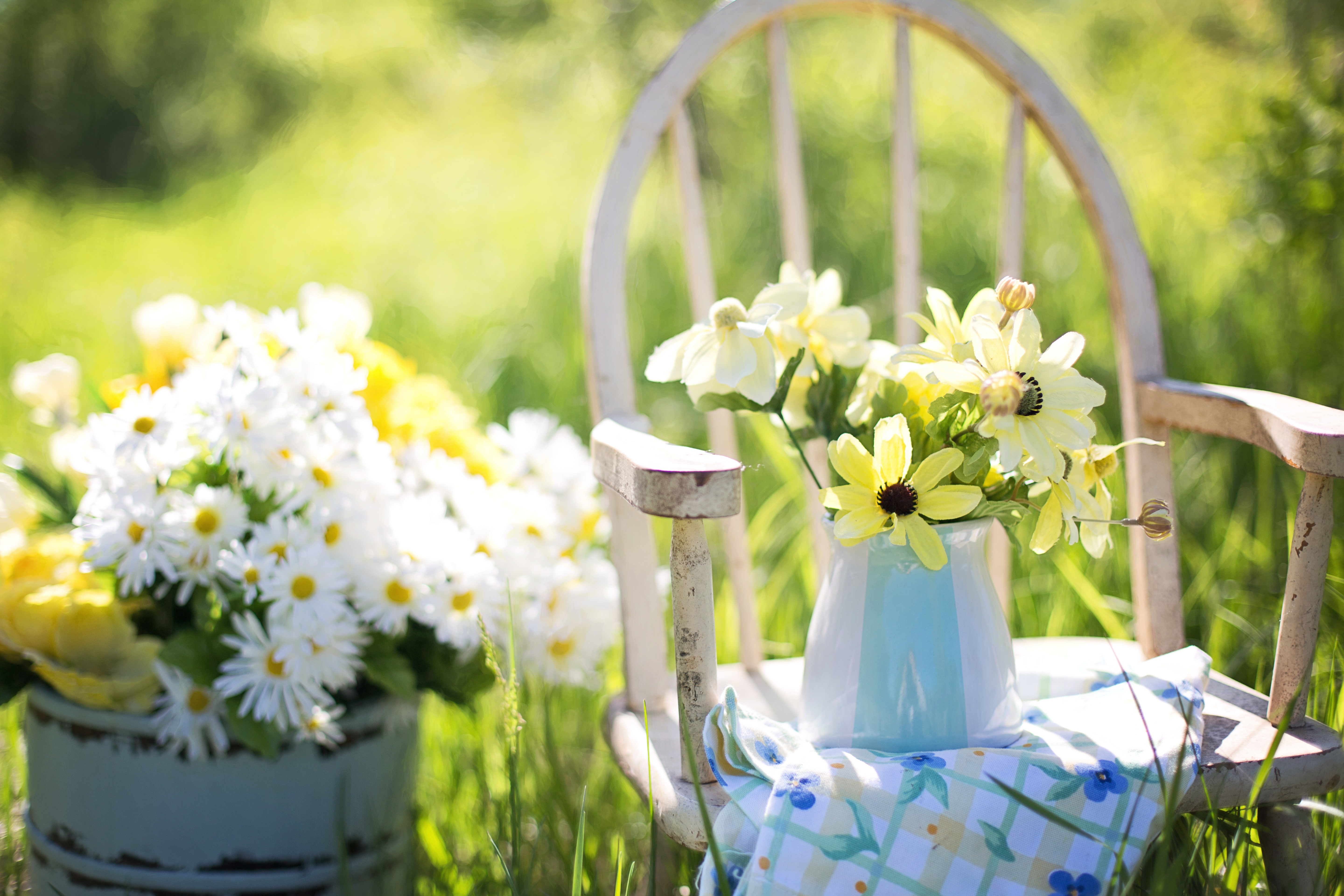 summer-still-life-daisies-yellow.jpg